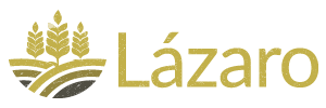logo lazaro