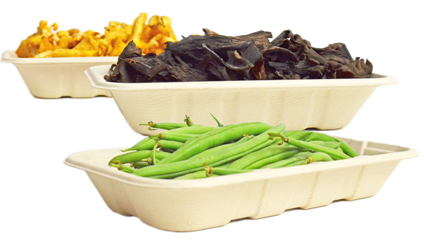 Envase de pulpa vegetal CART SERVICE INDUSTRY