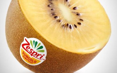 Noticias sobre packaging sostenible e innovación