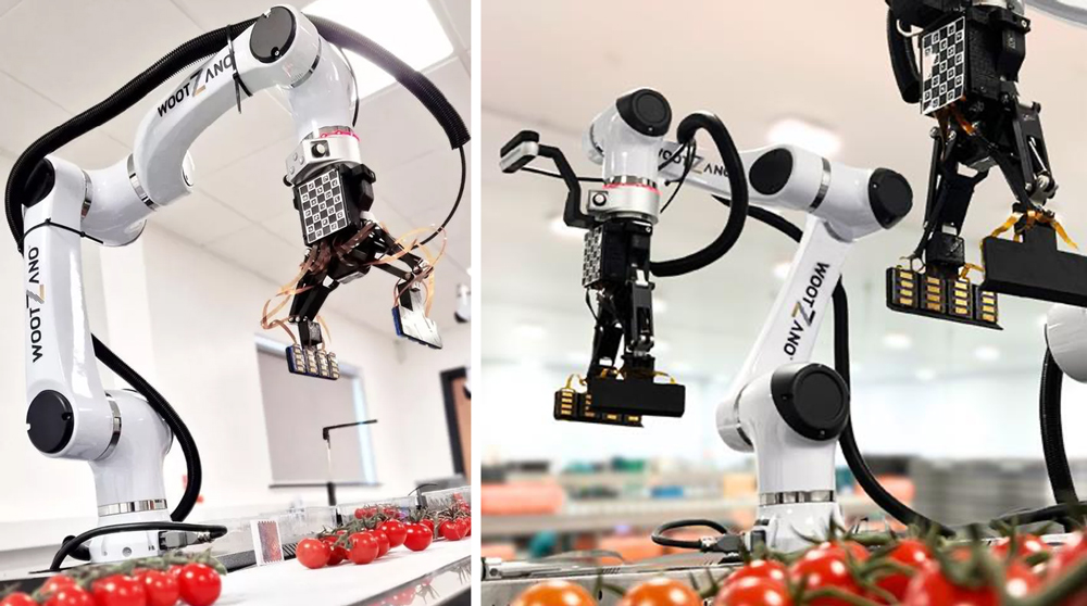 Packaging automation